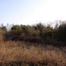 강림면328 이미지