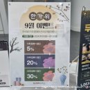 전주 두피관리 닥터포헤어전주점 지성두피관리 후기