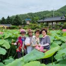 둥이네 농장 이미지