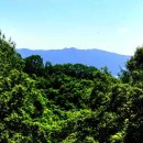 💞 추억속의 명산 산행 영상(543) (광주-요골산 능선길) 🕵��‍♂️ 이미지