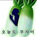 수월가