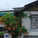 자인복지경로당 이미지