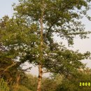 하소약수터 이미지