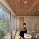 스테이 하시 이미지