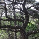 하도태양광발전소 이미지