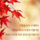 가을 이미지