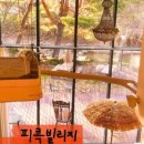피콕빌리지 이미지