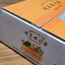 운산지 | 맛있는 제주특산품 고당도 서귀포 노지 타이벡감귤 3KG 산지직송 택배 직배송