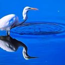 김영식공인중개사사무소 이미지