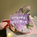 아이올라피움 이미지