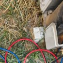 동삼화로 이미지