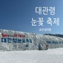 송천우리약국 | 대관령 눈꽃 축제 정보 30주년 평일 방문 후기 (ft. 근처 맛집)