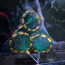 88실내바다낚시터 이미지