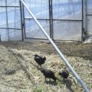 심가네농장 이미지