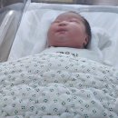 제일병원 | 출산 1일차 | 산본제일병원 후기 | 제왕절개