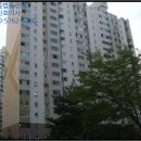 사파동114 이미지