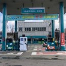 은행나무 주유소 이미지