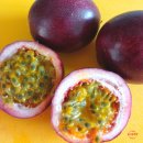 효진농장 | 국내산 무농약 패션후르츠 청 만들기 백향과 효능