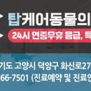멍냥이발소 이미지