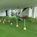 평생 사랑해 줄 개 애견펜션 이미지