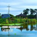 남생이못 습지생태 관찰원 | 제주도 동쪽 닭머르 해안길 근처 남생이못 산책코스로 좋아