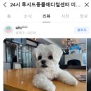 대신동물병원 이미지