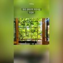 황령산보쌈