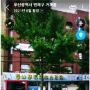 꿈나무 열대어 이미지