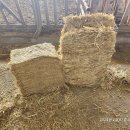 박열목장 이미지