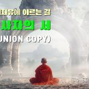 티벳사자의서 우나살루스 통합본 이미지