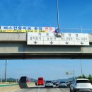 버스전용차로(1) 이미지