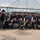 특수임무유공자회 이미지