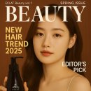 에클라일루션 프로텍션 헤어 미스트 리얼 후기: 다이슨 드라이기기 사용자 필수템! 손상 걱정 없이 윤기...