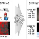 출강 이미지