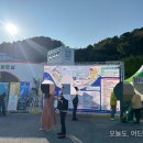 귀미리 빨간장터 공중화장실 | 🌊 통영축제 2025 통영어부장터 축제 솔직 후기! 🐟