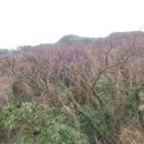 동남목장 이미지