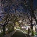 라오삐약 이미지