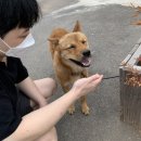 통영더휴 A 이미지