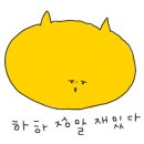 카페;매듭달