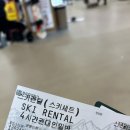 웰리힐리파크 스키장 초중급 슬로프 코스 후기