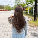 선명티엔피 | 대전 염색 후기, 허리 긴머리 톤다운 후 애쉬브라운 톤업 과정 : 에이티엔피 이안쌤