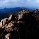 시어동 캠핑장 이미지