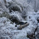 강릉우리집 이미지