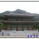 약초와 한방 이미지