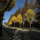 오디오엑스포서울 2024