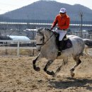 인천승마공원 이미지