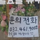 몽실하개 이미지