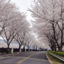 강변로길 이미지