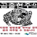 국립공원관리공단종복원기술원 Daum카페