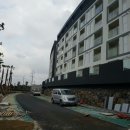 죽도마트 이미지